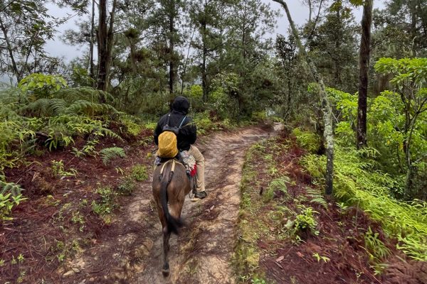 Cabalgar hasta el Pico Duarte: una aventura emocionante de 2 a 4 días